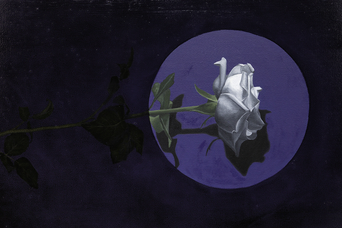 Image 2 for Stalker III: Ballroom Dancing